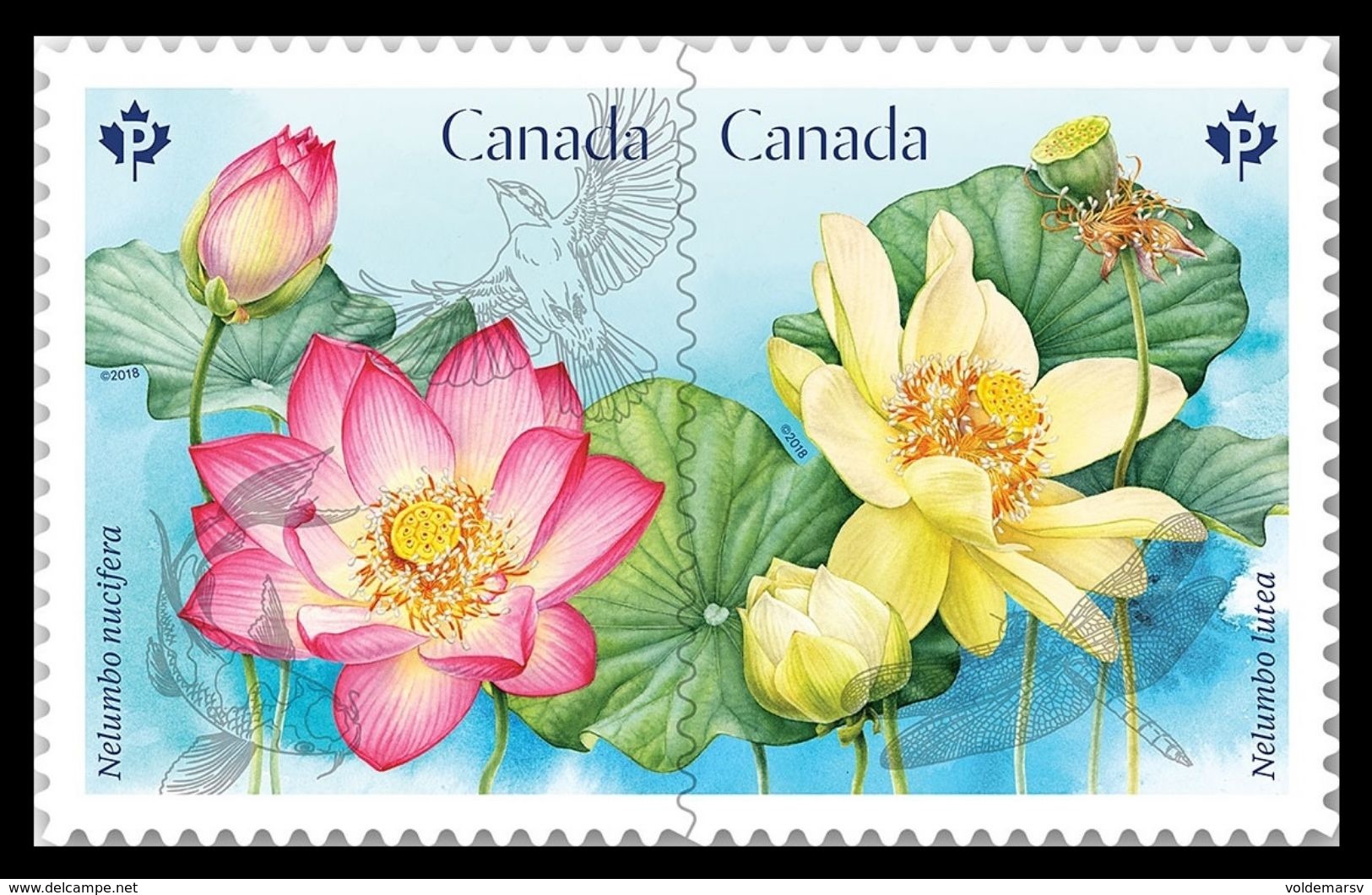 Canada 2018 Mih. 3610/11 Flora. Flowers. Lotuses. Fauna. Bird. Fish. Dragonfly (self-adhesive) MNH ** - Neufs
