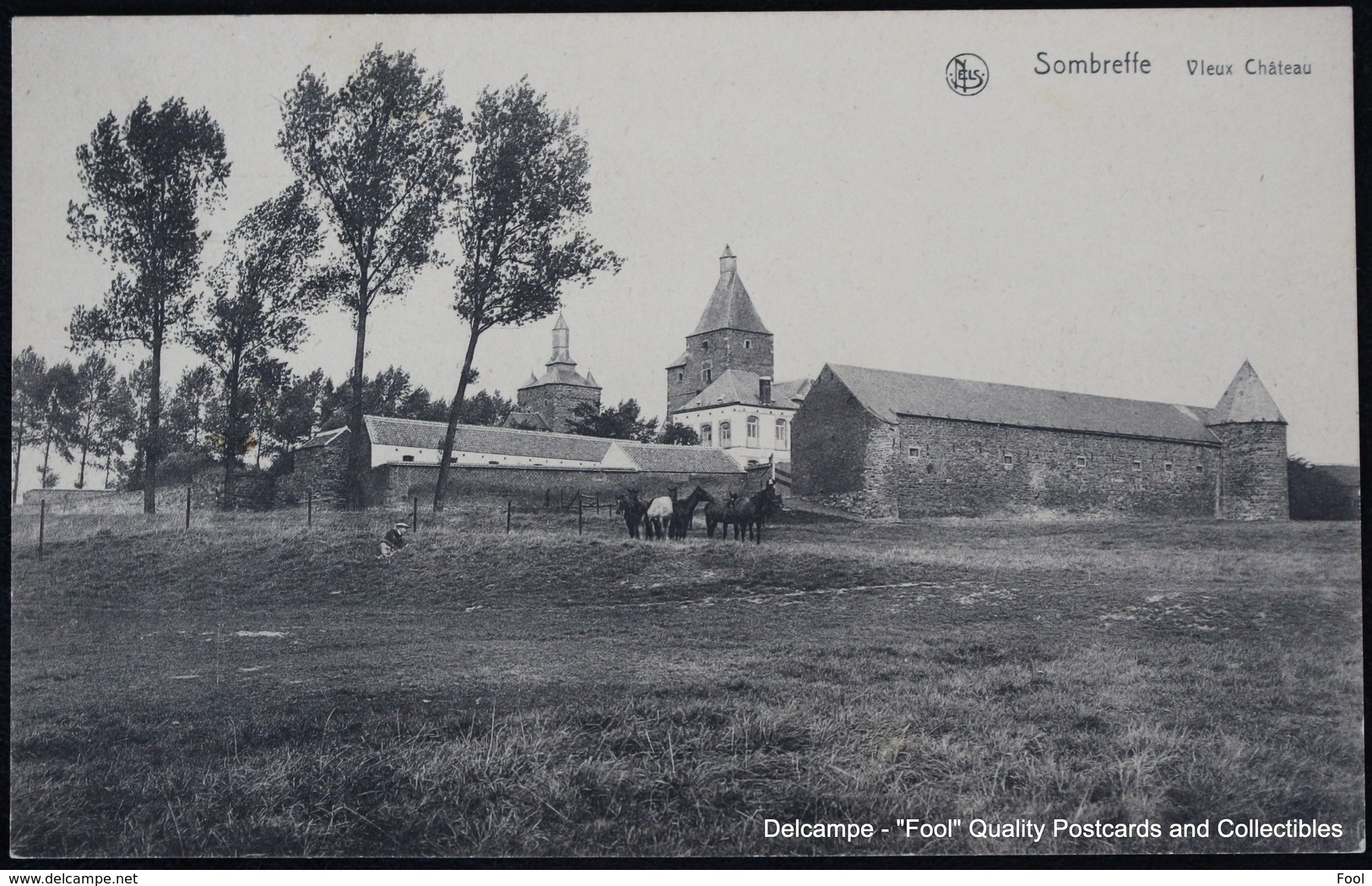 Sombreffe Le Château Chevaux Paarden Horses NELS - Sombreffe