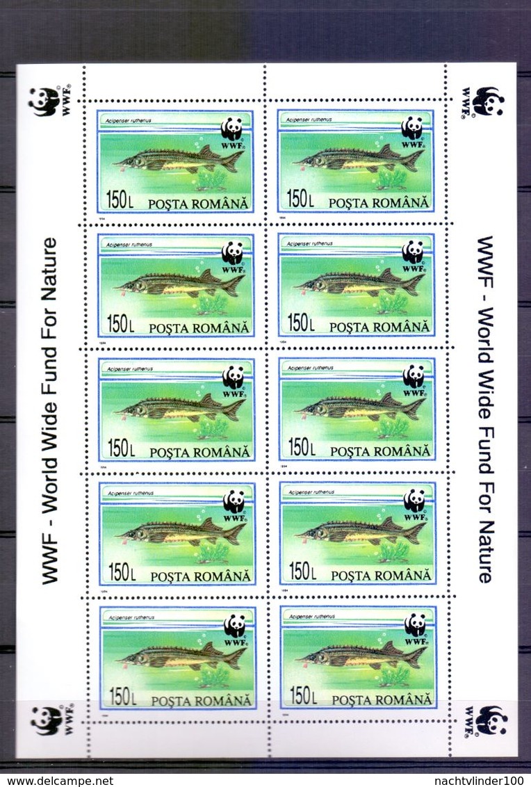 Neh173MSb WWF FAUNA VISSEN FISH STURGEON FISCHE MARINE LIFE ROEMENIË ROMANA 1994 PF/MNH # READ # - Unused Stamps