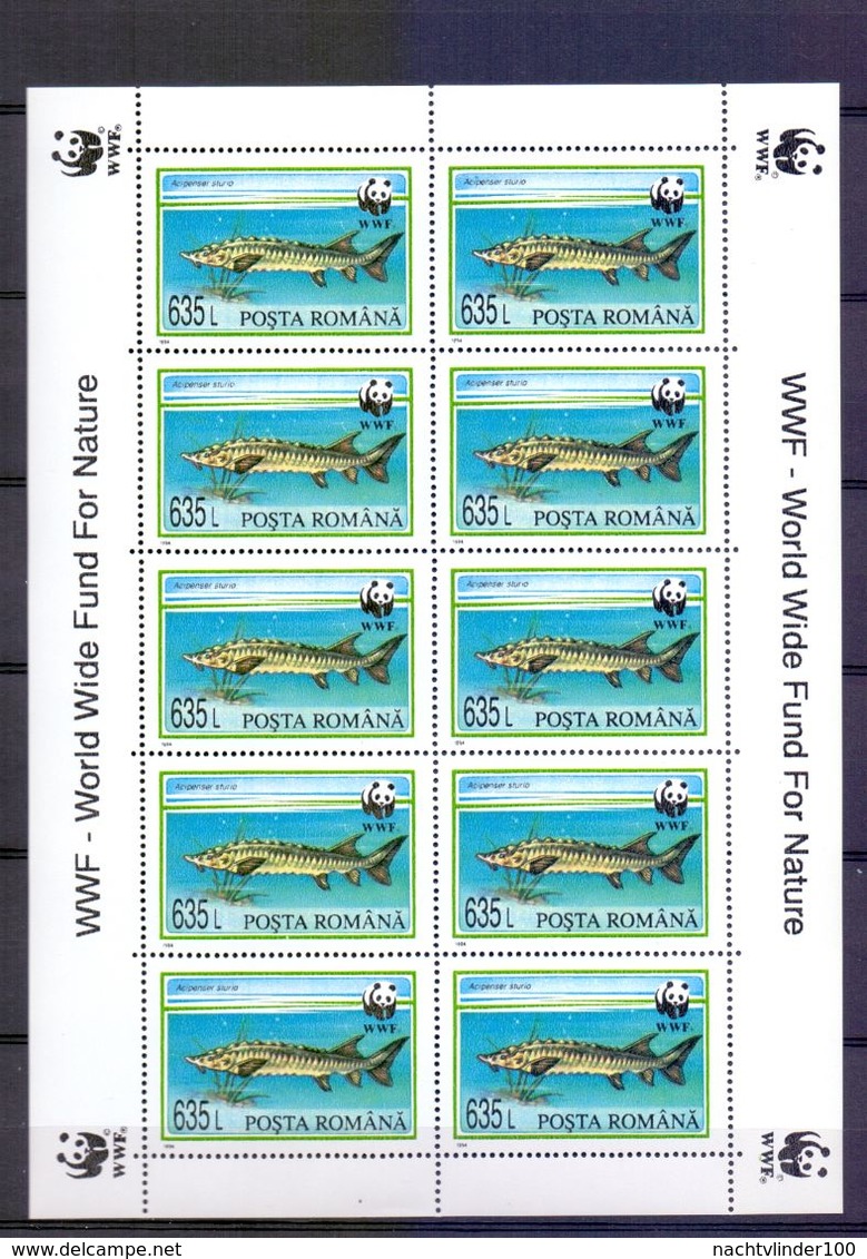 Neh173MSb WWF FAUNA VISSEN FISH STURGEON FISCHE MARINE LIFE ROEMENIË ROMANA 1994 PF/MNH # READ # - Unused Stamps