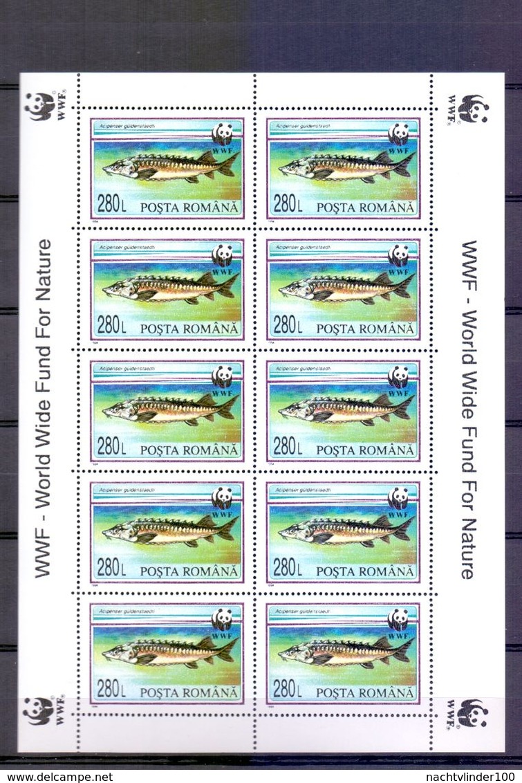 Neh173MSb WWF FAUNA VISSEN FISH STURGEON FISCHE MARINE LIFE ROEMENIË ROMANA 1994 PF/MNH # READ # - Unused Stamps