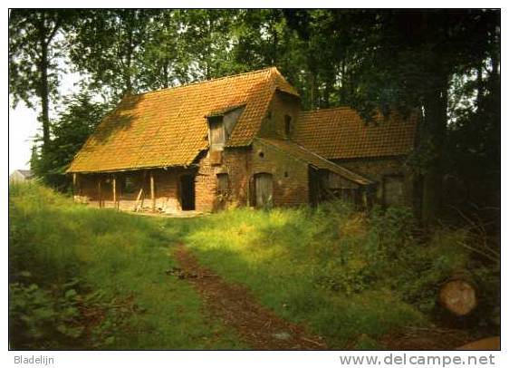 NEDERZWALM-HERMELGEM Bij Zwalm (O.Vl.) - Molen/moulin - Van Der Lindensmolen, Verscholen In Het Groen. (1984) - Zwalm