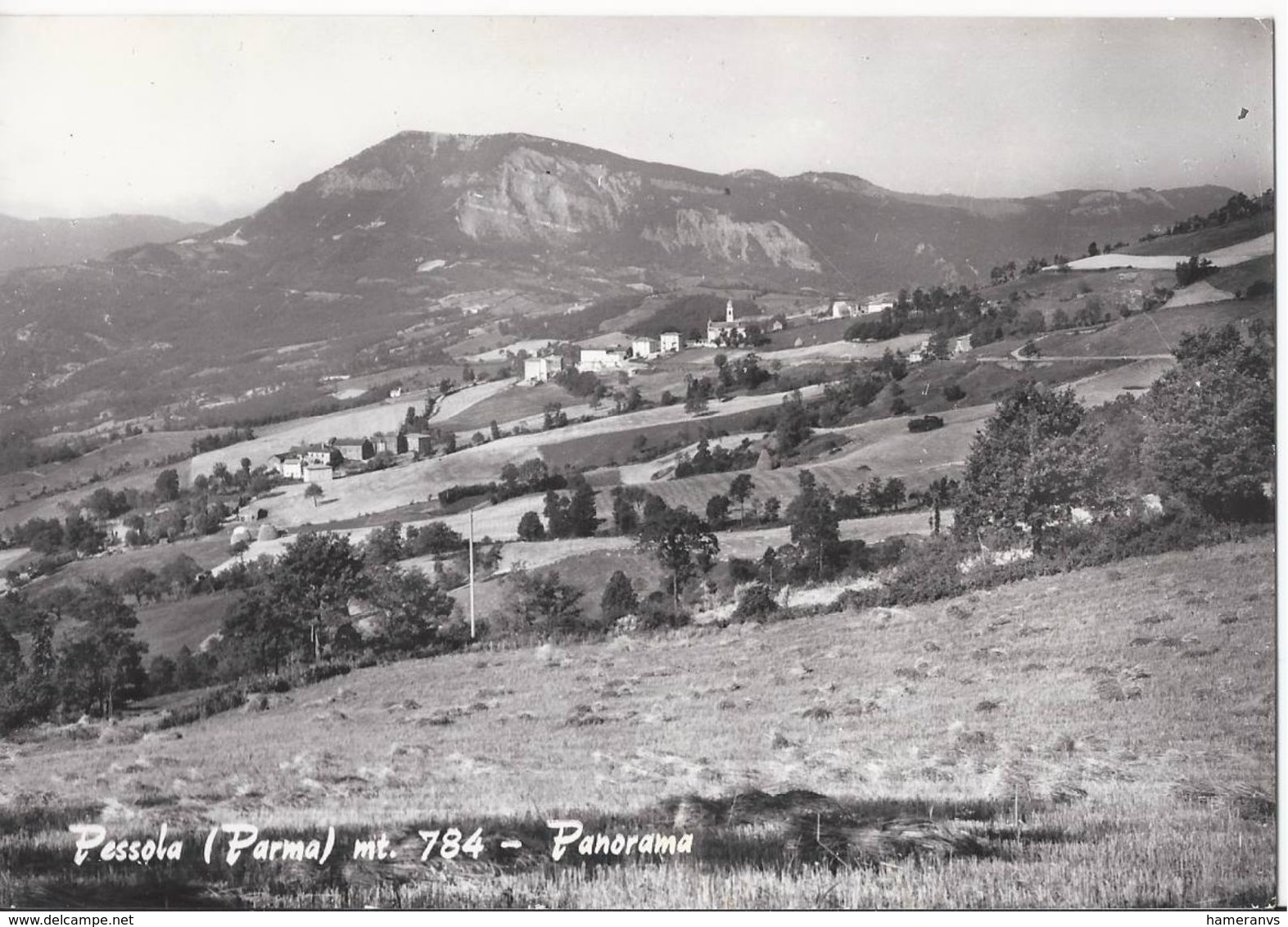 Pessola - Panorama - Parma - H4062 - Parma