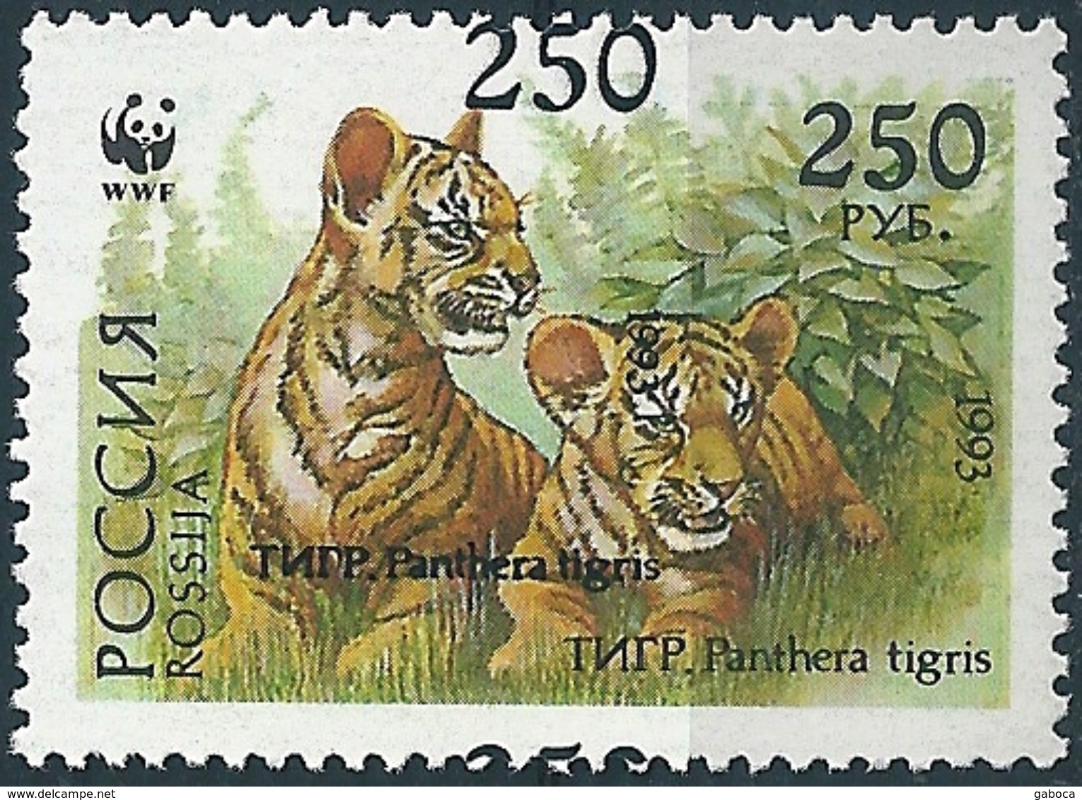 B1248 Russia Rossija Fauna Wild Animal Mammal Cat Of Prey Tiger MNH ERROR - Errors & Oddities