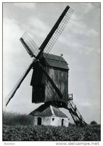 PAMEL - Roosdaal (Vlaams-Brabant) - Molen/moulin - Historische Opname Van De Gewezen Keirekensmolen, Ingestort In 1970. - Roosdaal