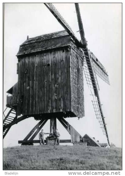 PAMEL ~ Roosdaal (Vlaams-Brabant) - Molen/moulin - Prachtige Close-up Van De Verdwenen Staakmolen De Pauselijke Zoeaaf. - Roosdaal