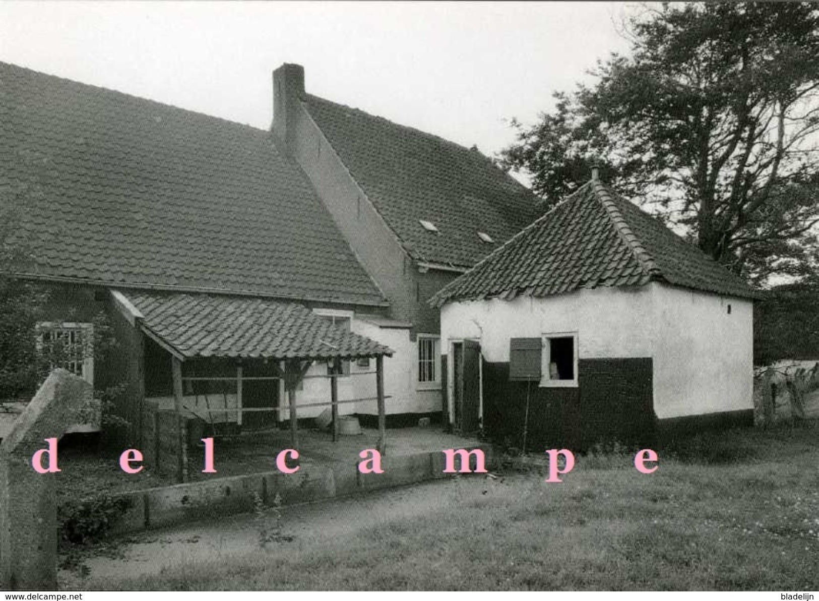 KATWIJK (Z.H.) - Molen/moulin - Fraaie Opname Van De Karnmolen Bij Boerderij 'Ons Genoegen' In 1966 - Katwijk (aan Zee)