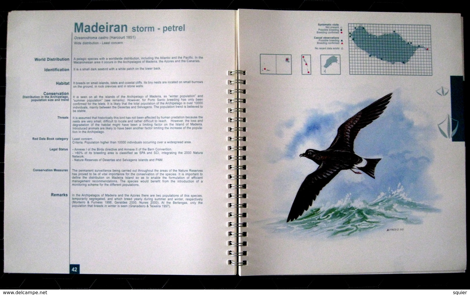 Madeira, Birds Of The Archipelago, Oliveira, Paulo, Menezes, Dilia - Vita Selvaggia