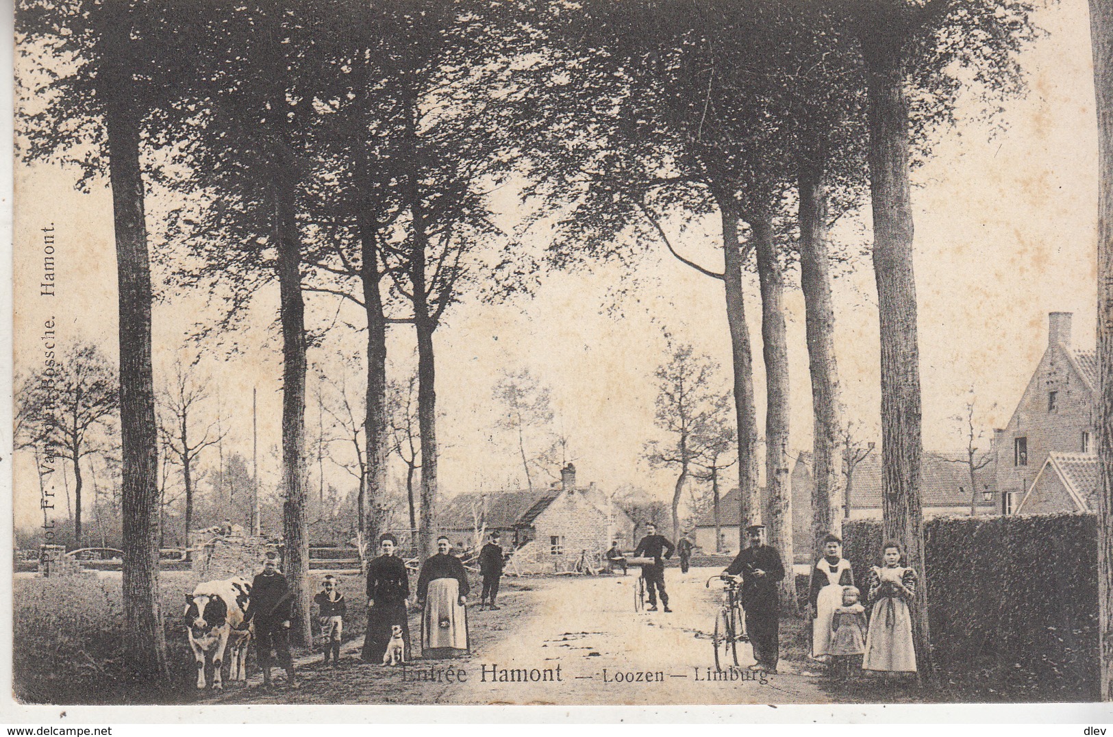 Entrée Hamont - Loozen-Limburg - Inkom - Geanimeerd - 1908 - Hamont-Achel