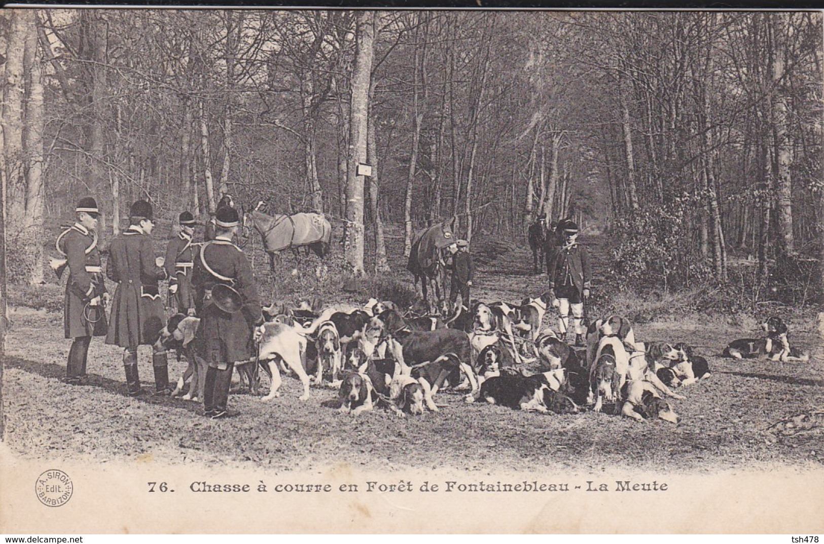 77---FONTAINEBLEAU--chasse à Courre En Forêt De Fontainebleau---la Meute---voir 2 Scans - Fontainebleau