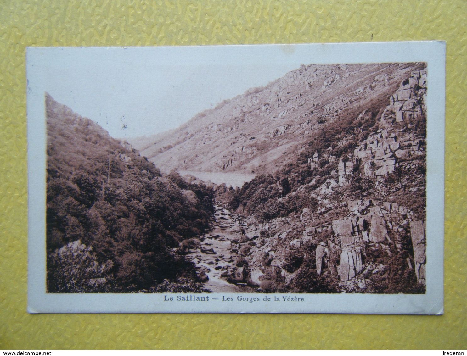 VOUTEZAC. Le Saillant. Les Gorges De La Vézère. - Other & Unclassified