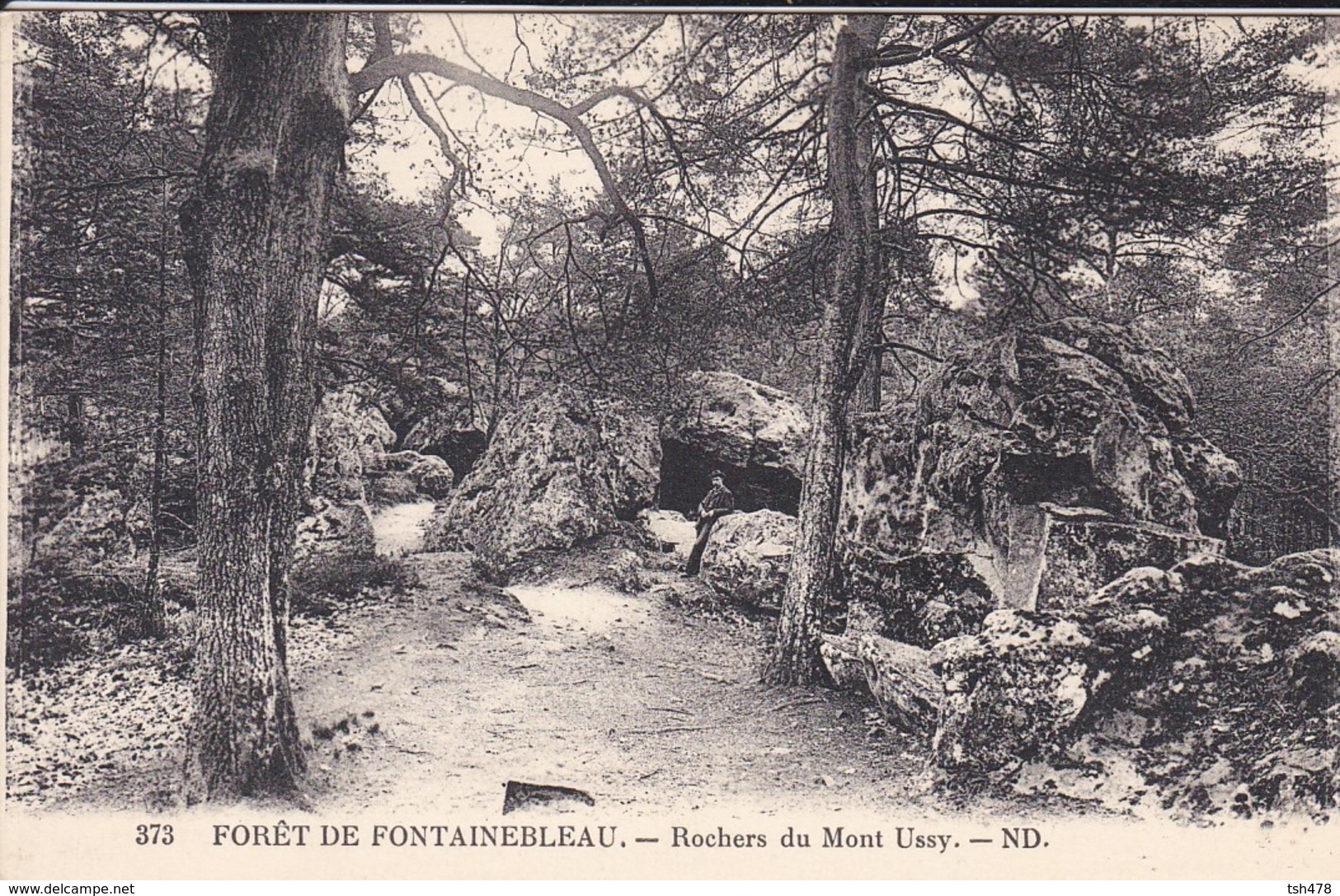 77-----forêt De Fontainebleau---rochers Du Mont Ussy---voir 2 Scans - Fontainebleau