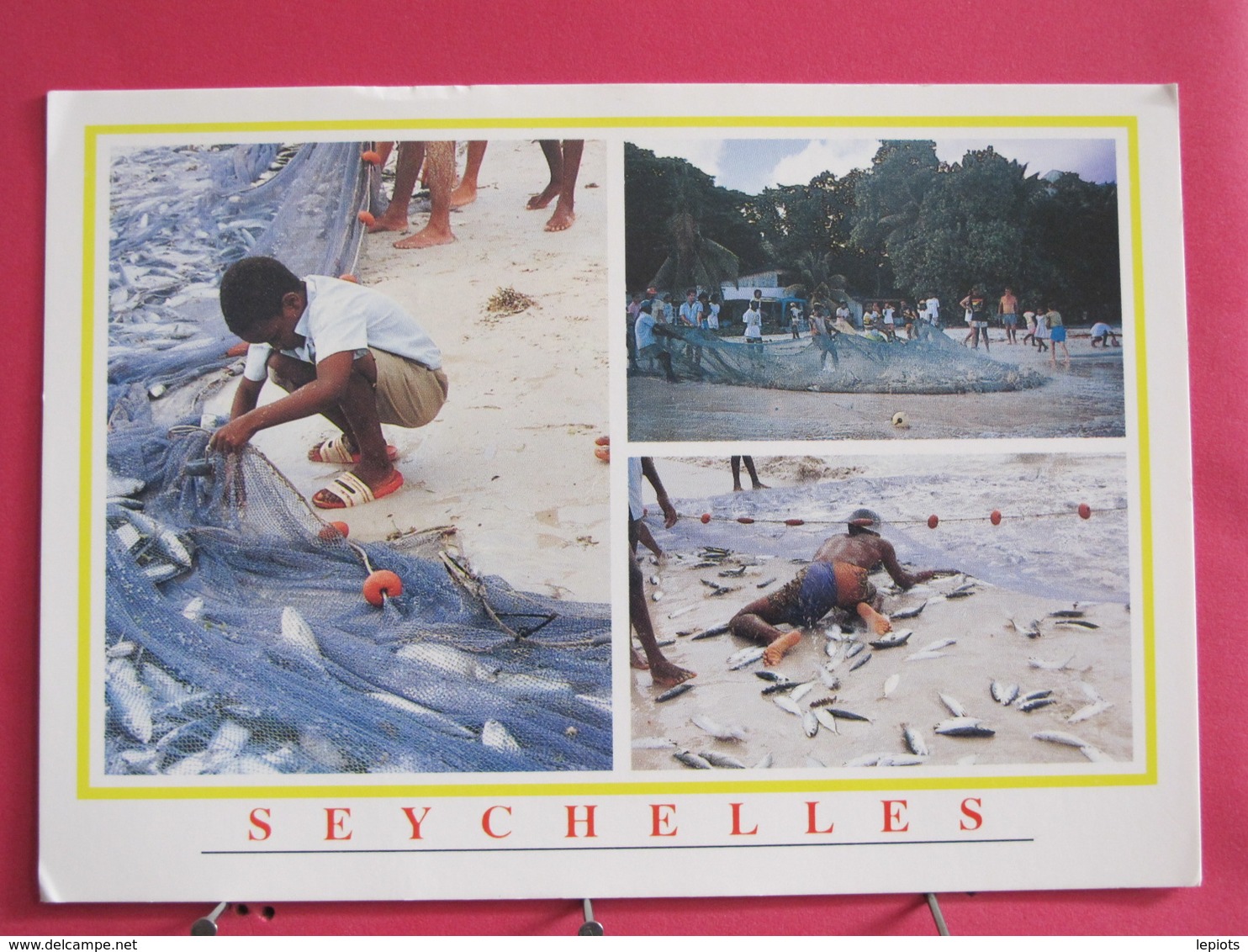 Seychelles - Mahé - Fish Catch At Beau Vallon - Scans Recto-verso - Seychellen
