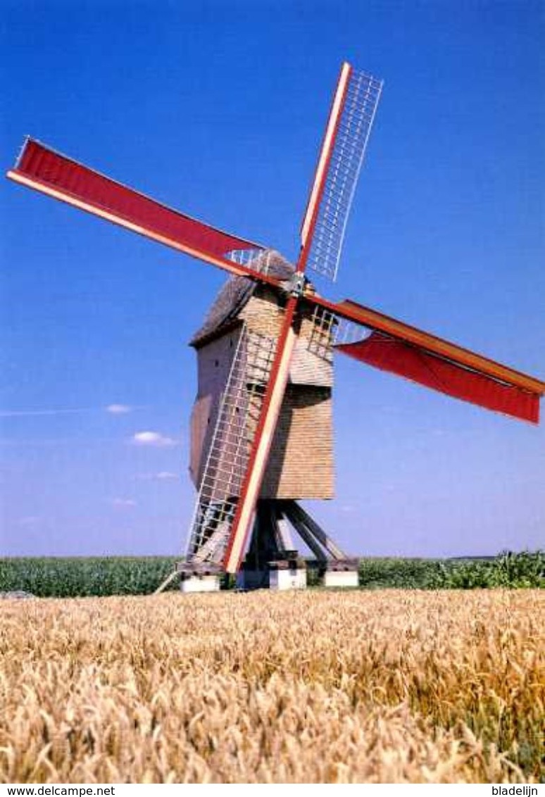 SINT-DENIJS-BOEKEL - Wijlegem, Zwalm (O.Vl.) - Molen/moulin - De Vinkemolen, Overgebracht Uit Oosterzele, In Werking - Zwalm