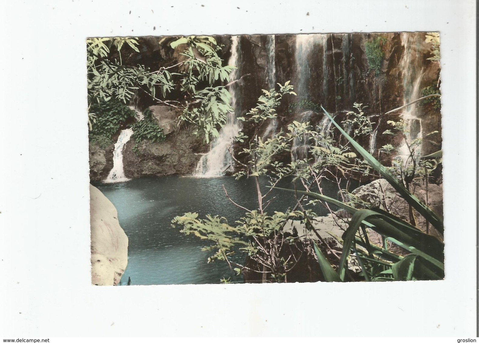 SAINT GILLES LES BAINS ILE DE LA REUNION CASCADE DES AIGRETTES - Autres & Non Classés