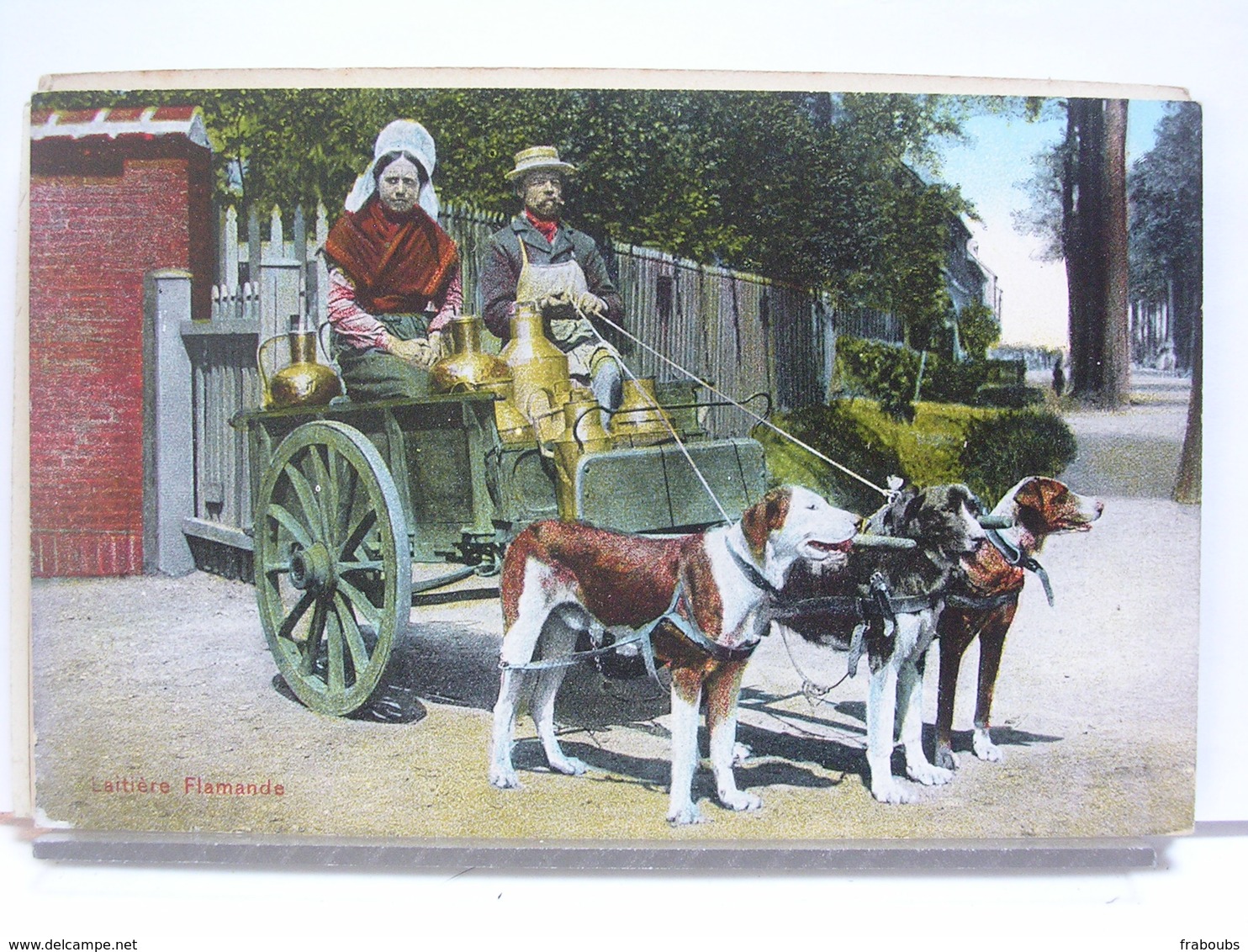 BELGIQUE - ATTELAGE DE CHIENS FLAMAND - LAITIERE FLAMANDE - 2 CARTES - Chiens