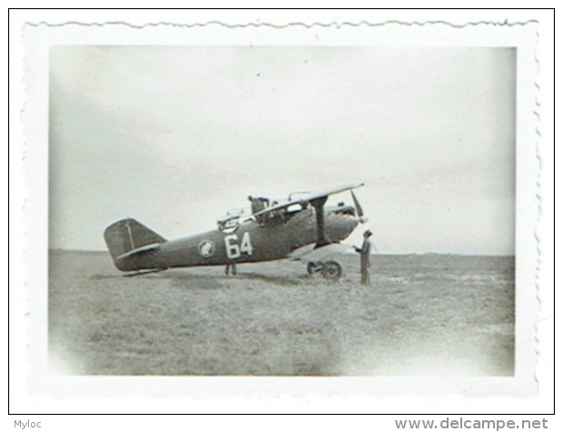 Foto/Photo. Militaria. Avion Bombardier. Escadrille Des Eléphants. 1934. - Aviation