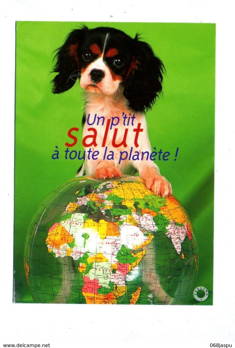 Carte Salut à La Planete Chien  Flamme Muette Strasbourg - Chiens