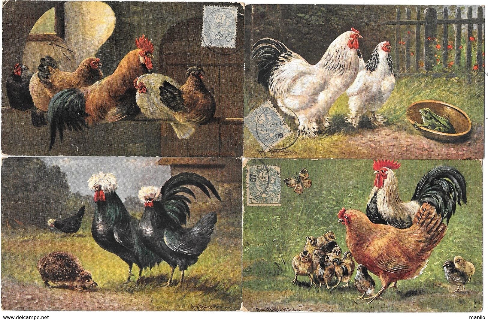 4 CPA Par August MUELLER - MUNICH - BASSE-COUR  COQS,POULES;POUSSINS.GRENOUILLE.HERISSON 216-366-442 - Mueller, August - Munich