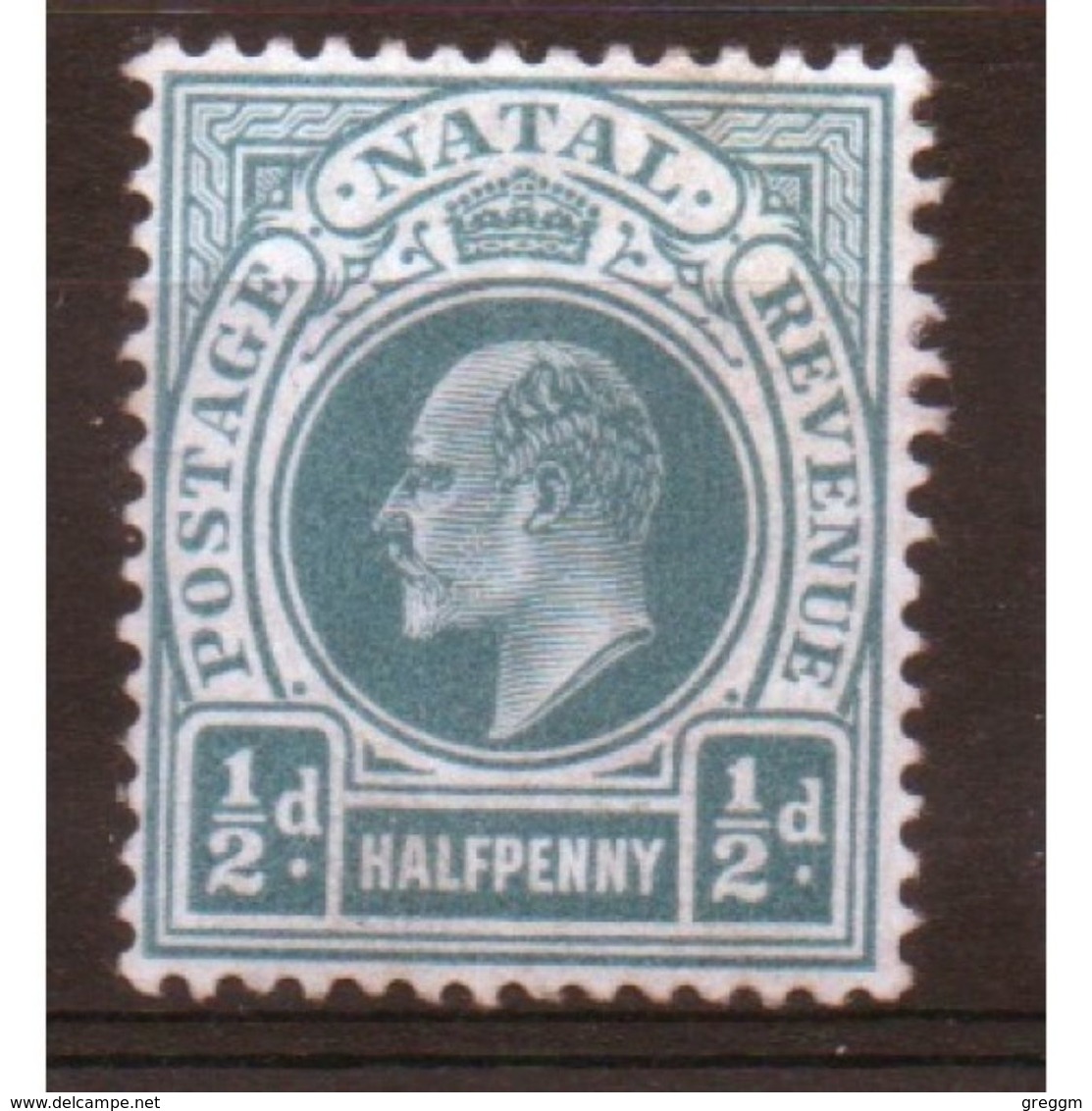 Natal Edward VII  ½d Stamp From 1902.  This Stamp Is Catalogue Number 127 And Is In Mounted Mint Condition. - Natal (1857-1909)