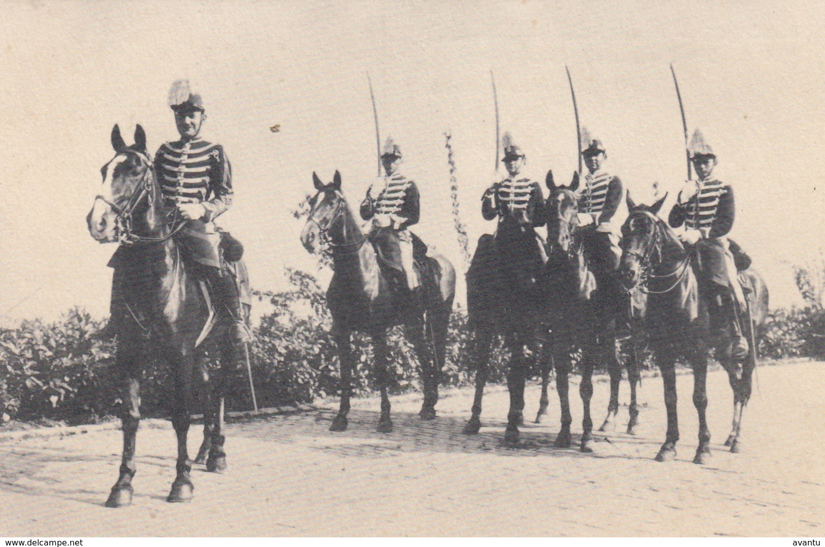 BELGIQUE / BELGIE / 2 ME CHASSEURS A CHEVAL / 2 DE JAGERS TE PAARD - Régiments