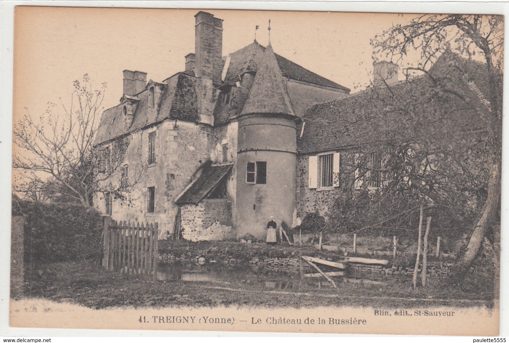 CPA- TREIGNY - Le Château De La Bussière-petite Animation -dép89- TBE - Treigny