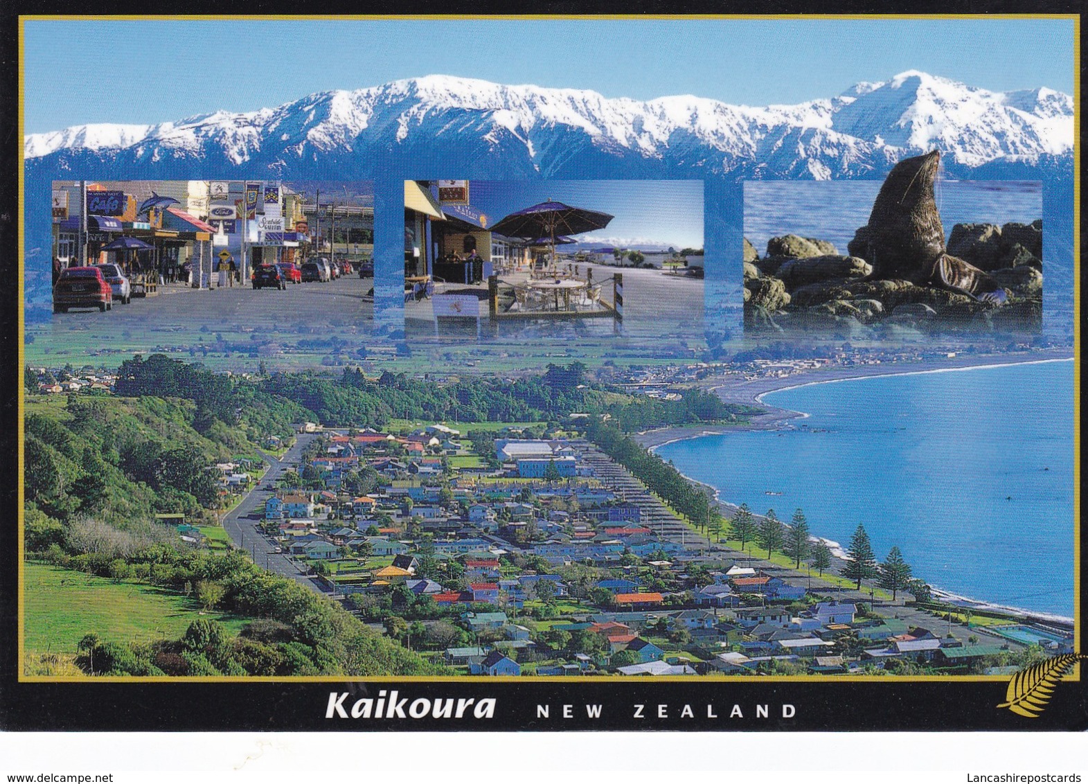 Postcard Kaikoura New Zealand My Ref  B22491 - New Zealand