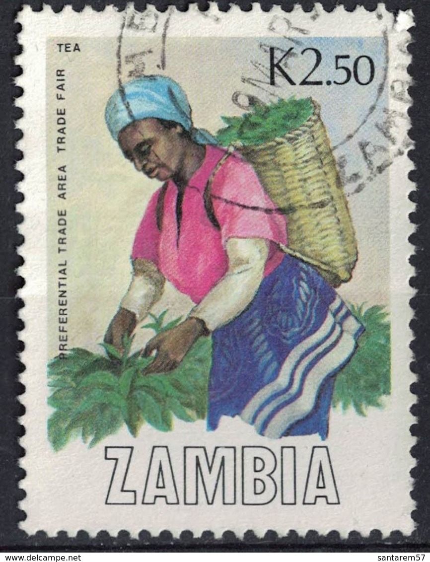 Zambie 1988 Oblitéré Used Cueillette Du Thé Récolte Tea Harvest - Zambia (1965-...)