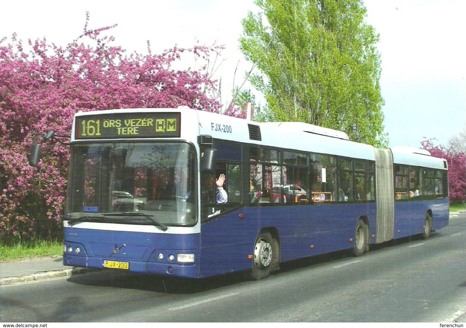 BUS * AUTOBUS * IKARUS 435 * BKV * BUDAPEST * FLOWER * PLANT * Top Card 0979 * Hungary - Buses & Coaches