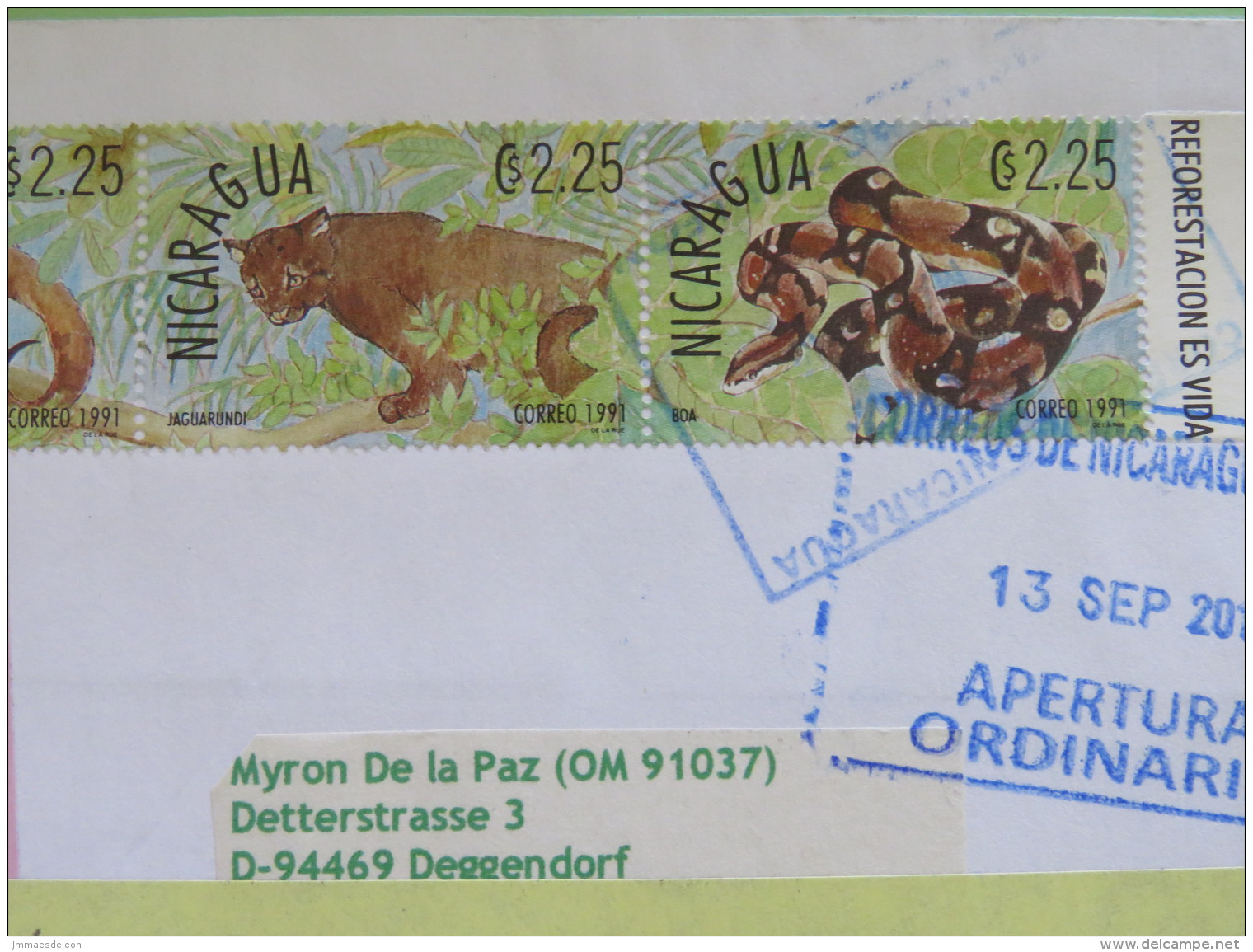 Nicaragua 2016 Cover To Germany - Sent Back - Animals Hummingbird Boa Anteater Jaguar Coati Ocelot - Nicaragua