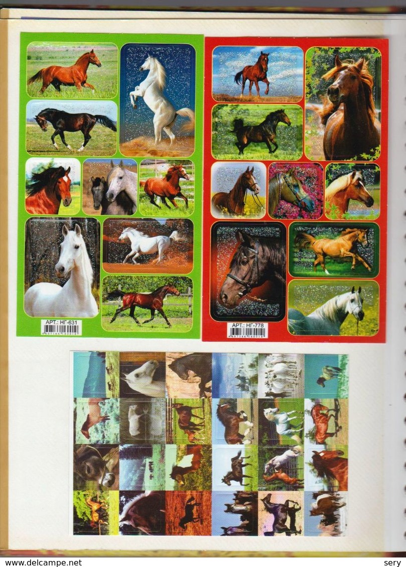 Album with more than 800 Horse Stickers for collecting  scrapbooking  card making crafts 800 autocollants Chevaux (Sv.)