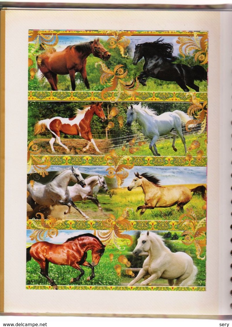 Album with more than 800 Horse Stickers for collecting  scrapbooking  card making crafts 800 autocollants Chevaux (Sv.)