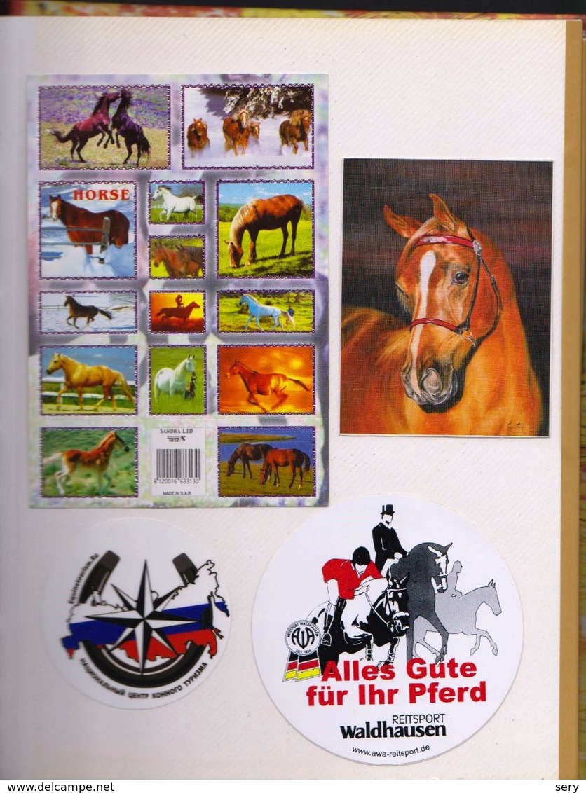 Album with more than 800 Horse Stickers for collecting  scrapbooking  card making crafts 800 autocollants Chevaux (Sv.)