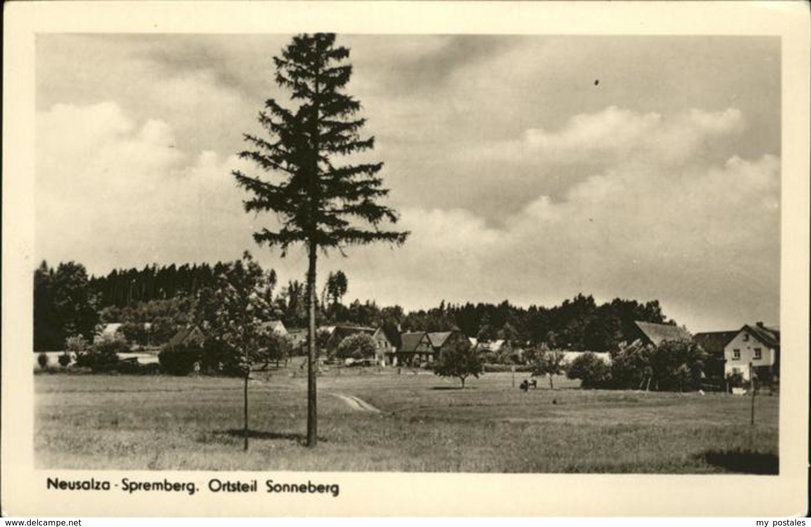 41260796 Neusalza-Spremberg Sonneberg Neusalza-Spremberg - Neusalza-Spremberg