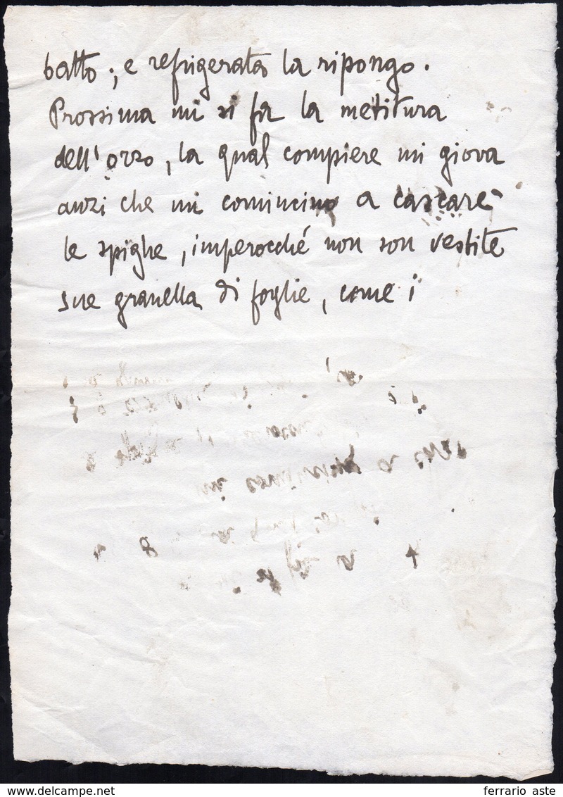 42 1910 Ca. - GABRIELE D'ANNUNZIO - Sei Righe Manoscritte Da Gabriele D'Annunzio Con Un Brano Della Poe... - Otros & Sin Clasificación