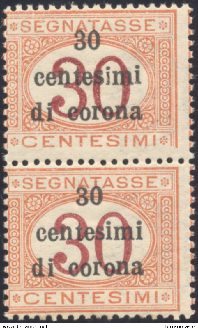 2205 TRENTO E TRIESTE SEGNATASSE 1919 - 30 Cent. Su 30 Cent., Stampa Del Francobollo Incompleta In Basso,... - Sonstige & Ohne Zuordnung