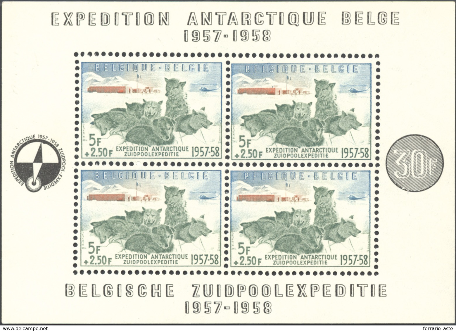 2793 BELGIO FOGLIETTI 1957 - Spedizione Antartica (F31), Gomma Integra, Perfetto.... - Sonstige - Europa
