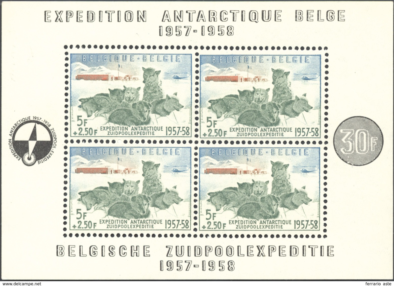 2793 BELGIO FOGLIETTI 1957 - Spedizione Antartica (F31), Gomma Integra, Perfetto.... - Autres - Europe