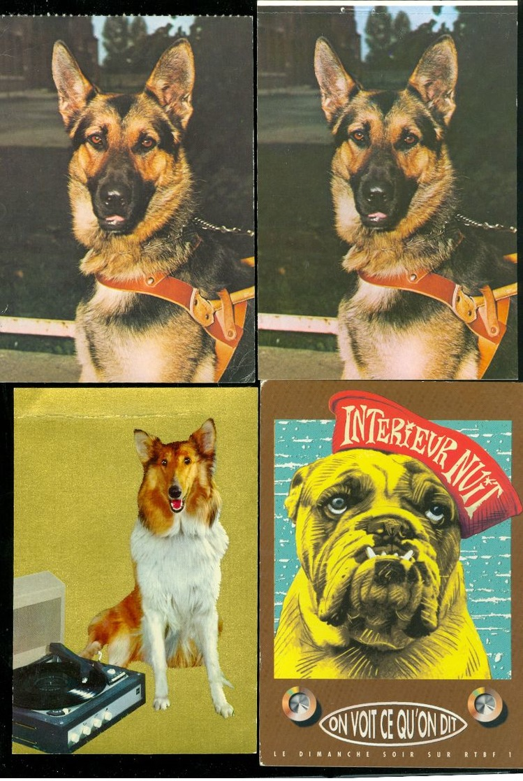 Beau lot de 60 cartes postales semi modernes gr. format de fantaisie chiens chien   Mooi lot van 60 postk. fantasie hond