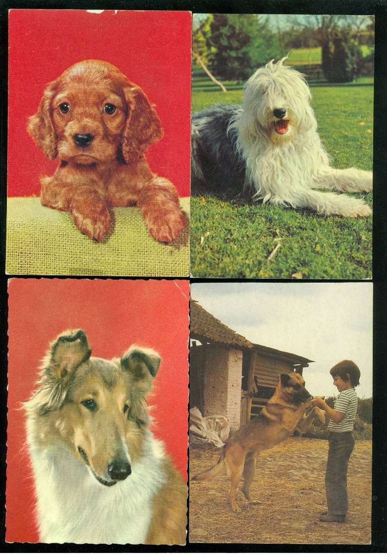 Beau lot de 60 cartes postales semi modernes gr. format de fantaisie chiens chien   Mooi lot van 60 postk. fantasie hond