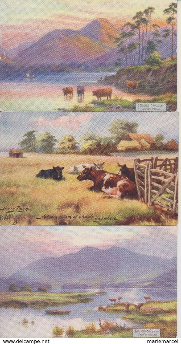 LOT DE VACHES - BOEUFS ETC...  - 45 CARTES - - 5 - 99 Cartes