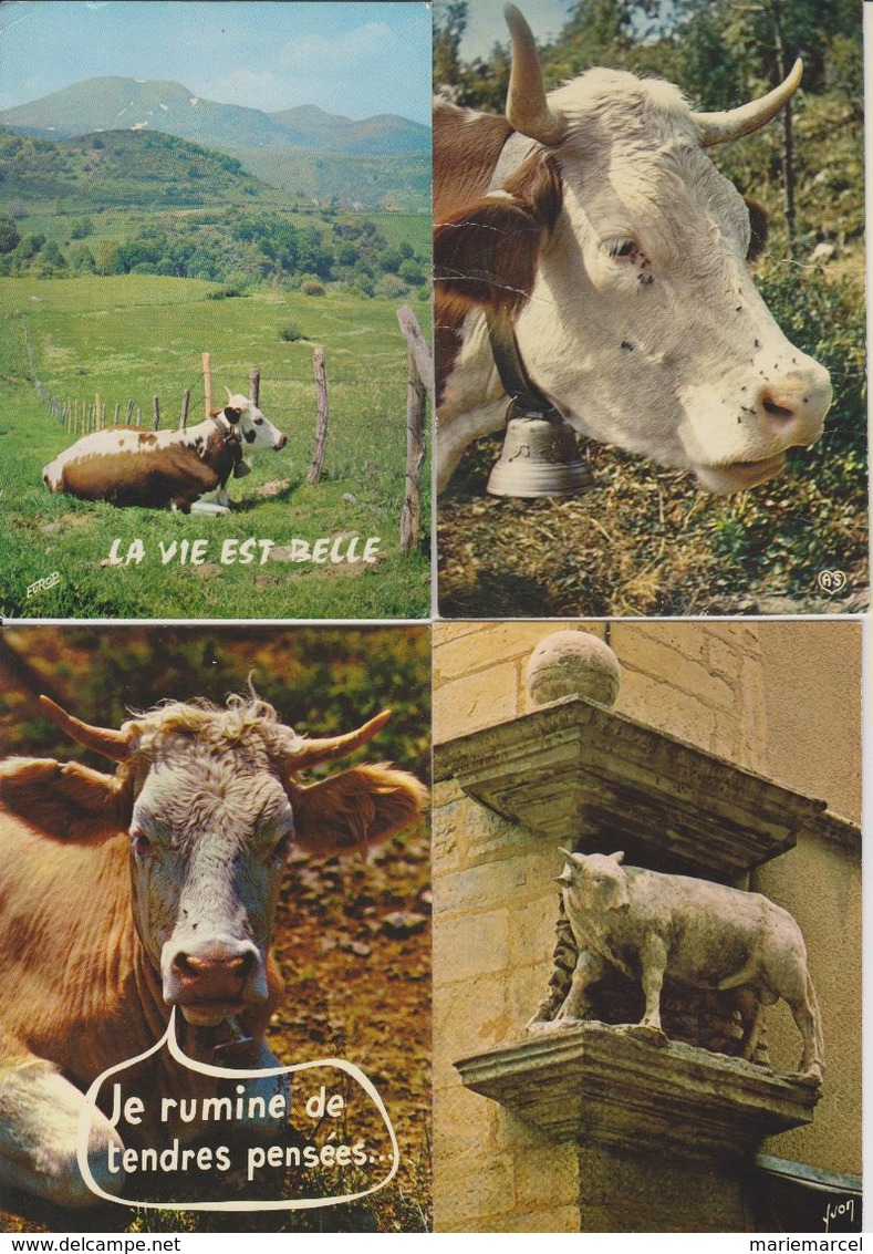 LOT DE VACHES - BOEUFS ETC...  - 45 CARTES -