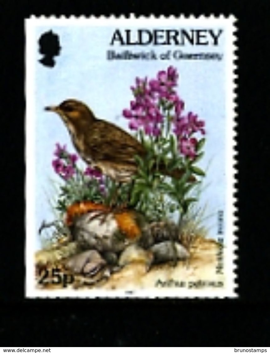 ALDERNEY - 1997  FLORA & FAUNA  25p  EX BOOKLET  IMPERF LEFT  MINT NH - Alderney