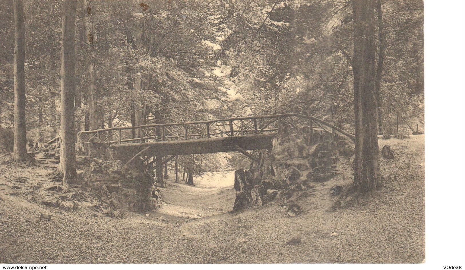 Bruxelles - CPA - Brussel - Pont Rustique Du Bois De La Cambre - Forêts, Parcs, Jardins