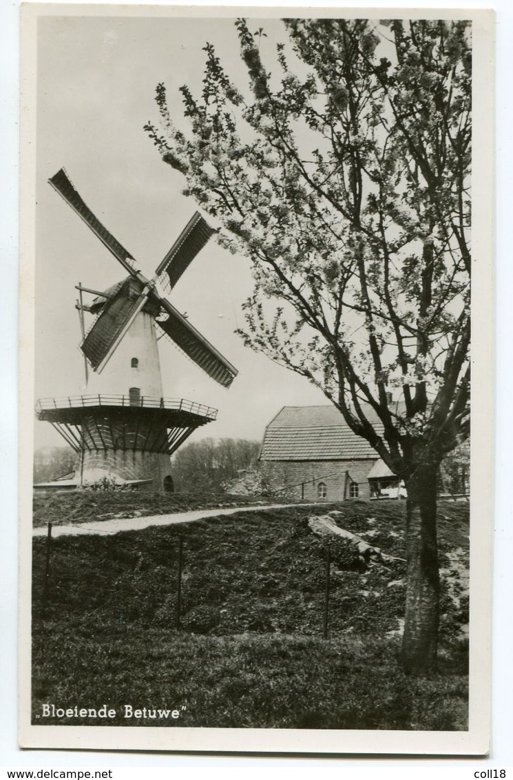 CPSM Bloeiende Betuwe - Moulin à Vent - Moulins à Vent