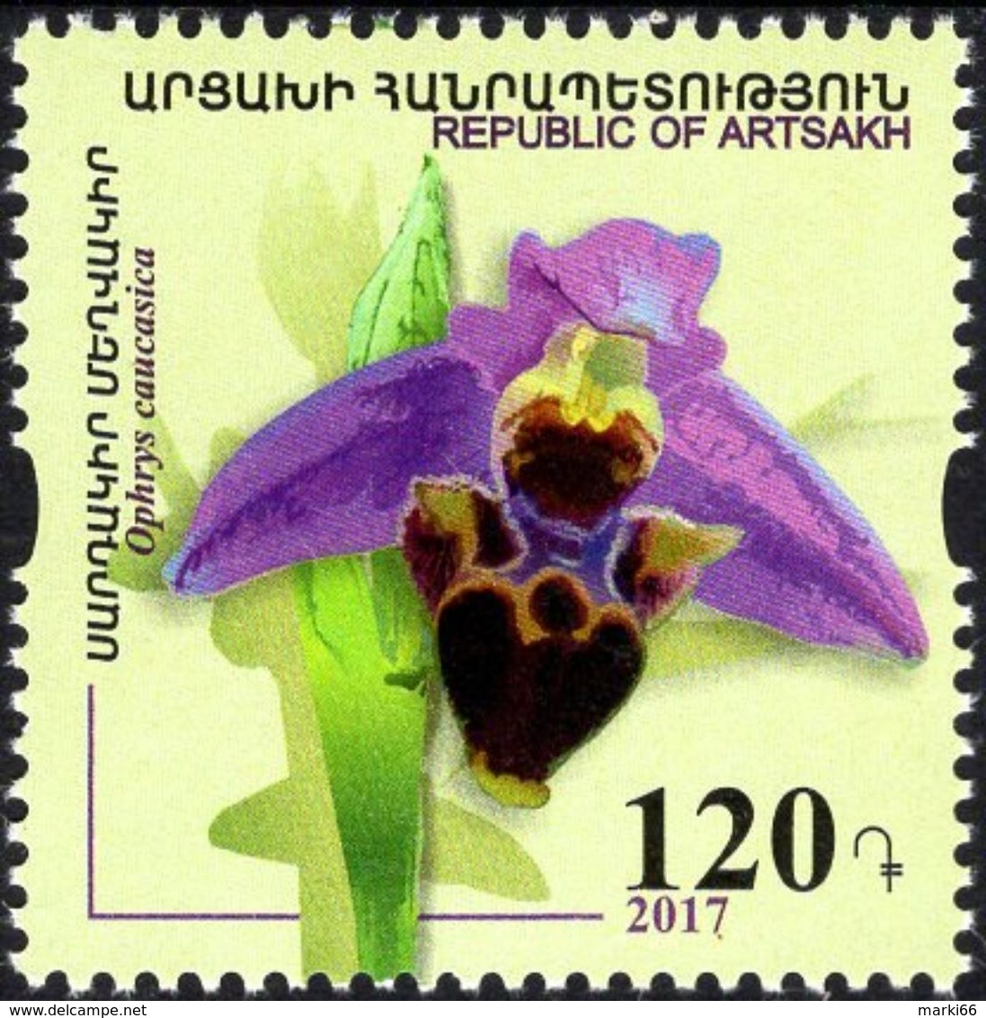 Armenia - Nagorno-Karabakh - 2017 - Flowers - Orchid - Mint Stamp - Armenia