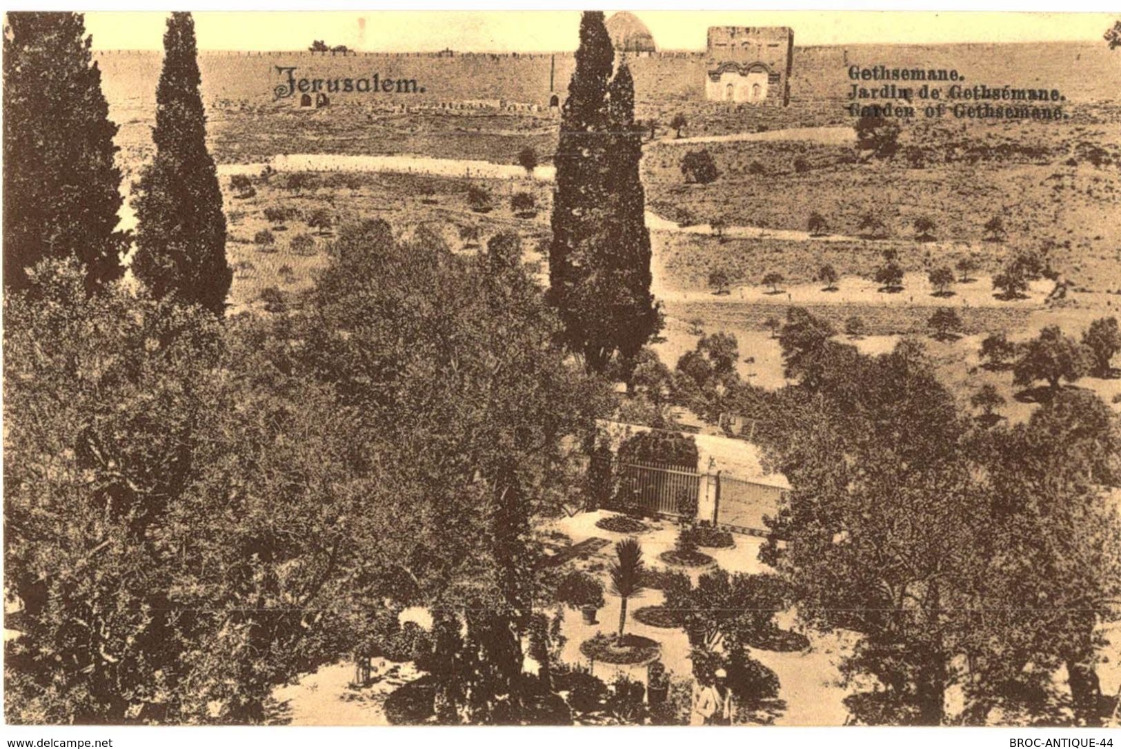 CPA N°21134 - LOT DE 6 CARTES DE JERUSALEM - JARDIN DE GETHSEMANI