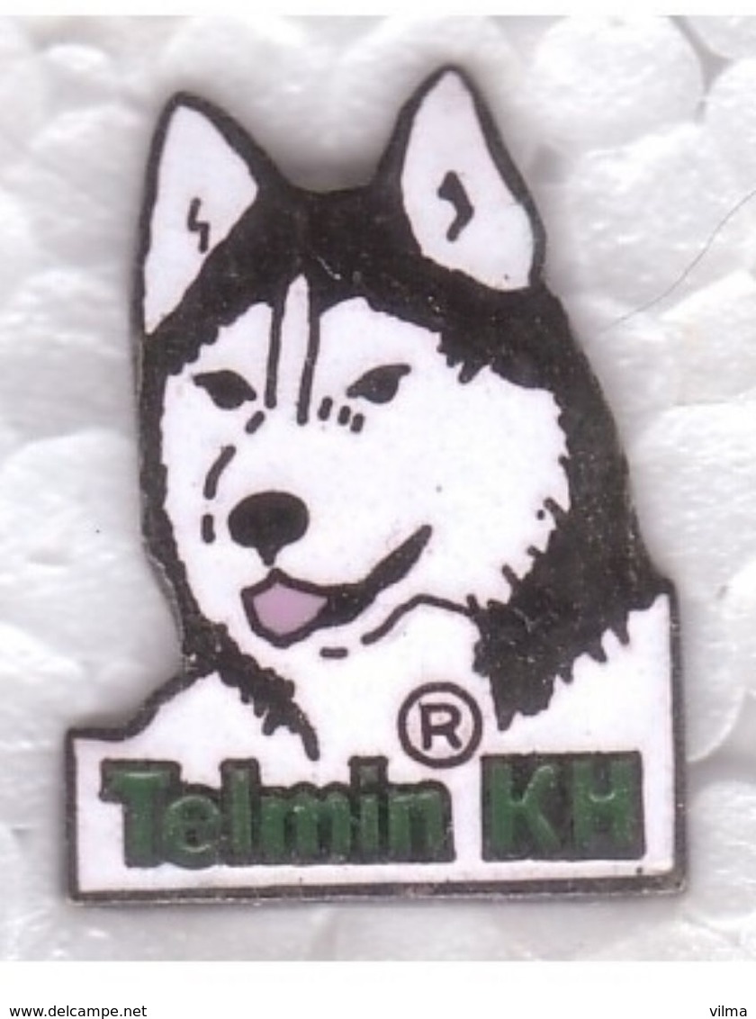 Pin's Chien Vermifuge Telmin Husky - Animaux