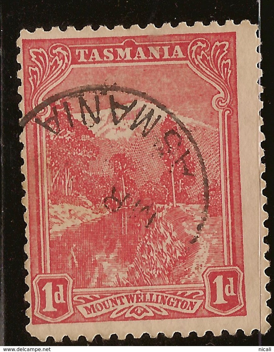 TASMANIA 1902 1d Rose-red P11 SG 240da U #AIO281 - Usados