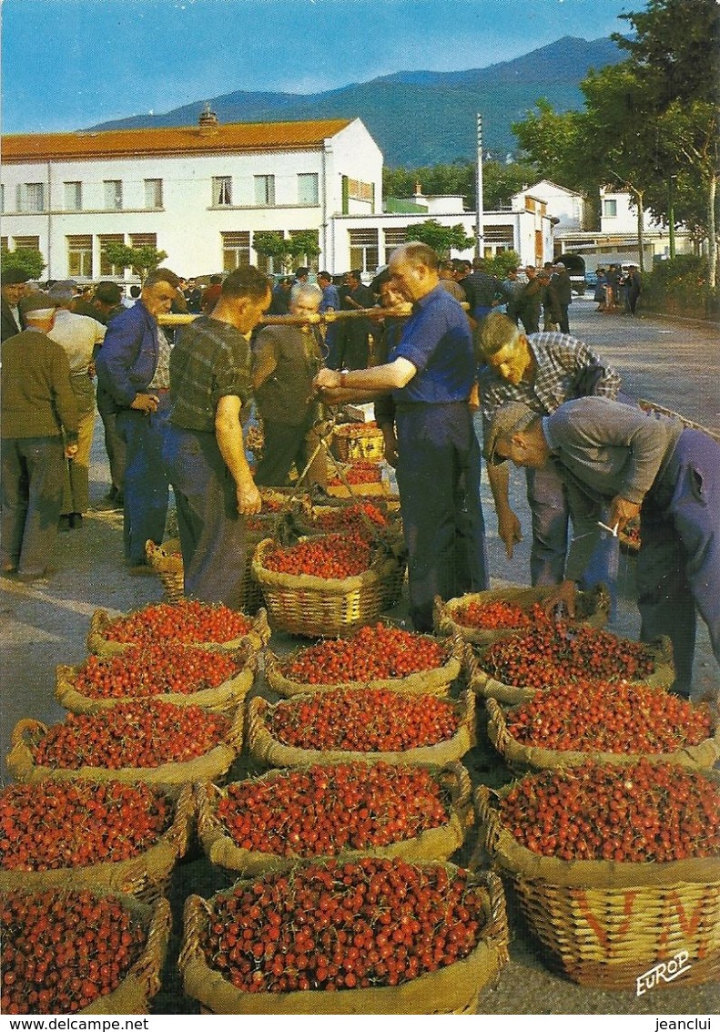 CPM. LE VALLESPIR . LE MARCHE AUX CERISES DE CERET . NON ECRITE - Ceret